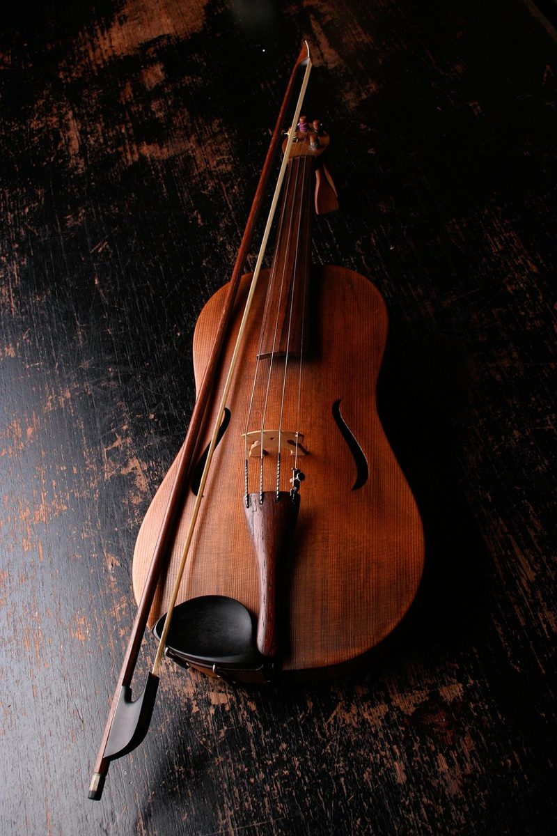 Streichinstrument mit Bogen auf dunklem Holz